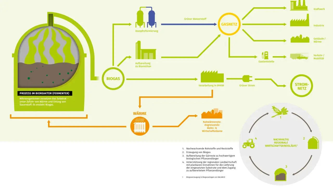 Schema zeigt, wie aus Biogas durch verschiedene Prozesse grüner Strom und Wärme für Kraftwerke, Industrie und Haushalte erzeugt wird.