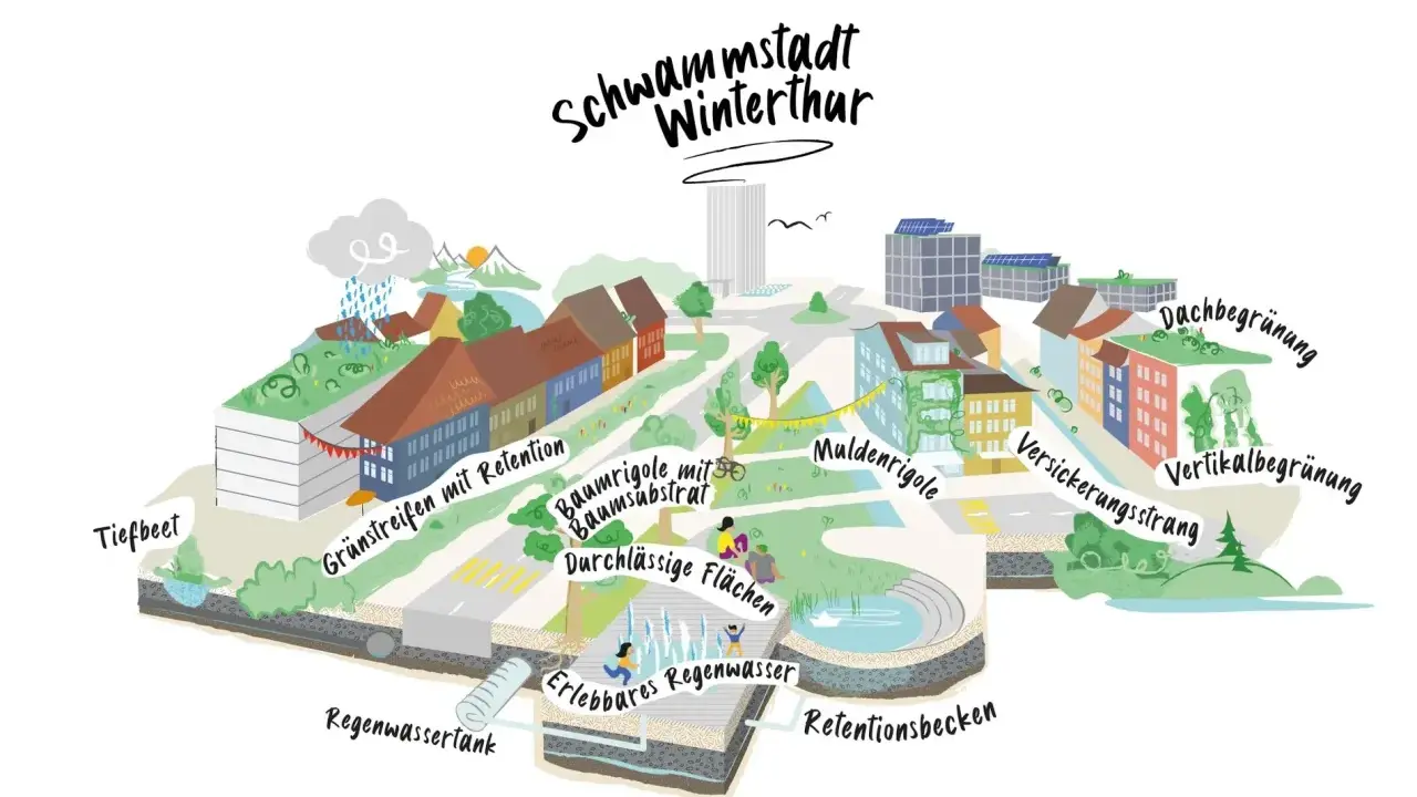 Winterthur als Schwammstadt: Gründächer, Baumrigolen, Mulden und Retentionsbecken speichern Regenwasser.