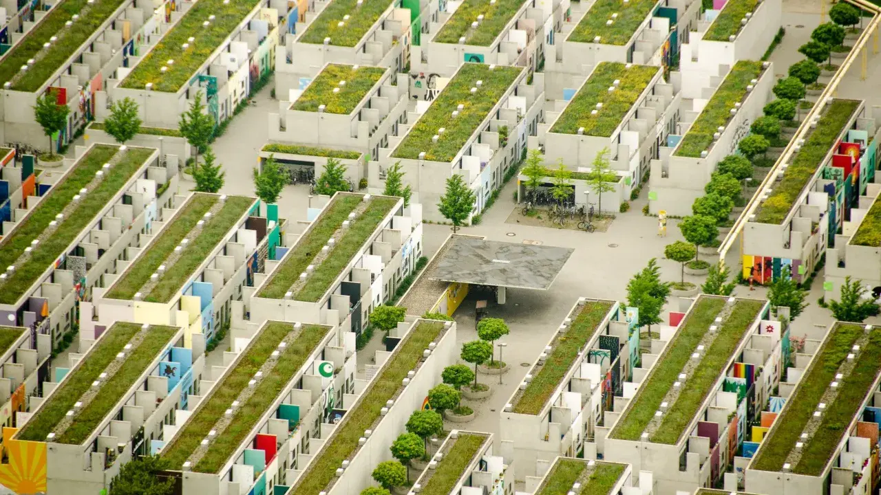 Grüne Dächer auf Reihenhäusern in einer kompakten Stadt. Viele bunte Fassaden und Bäume.
