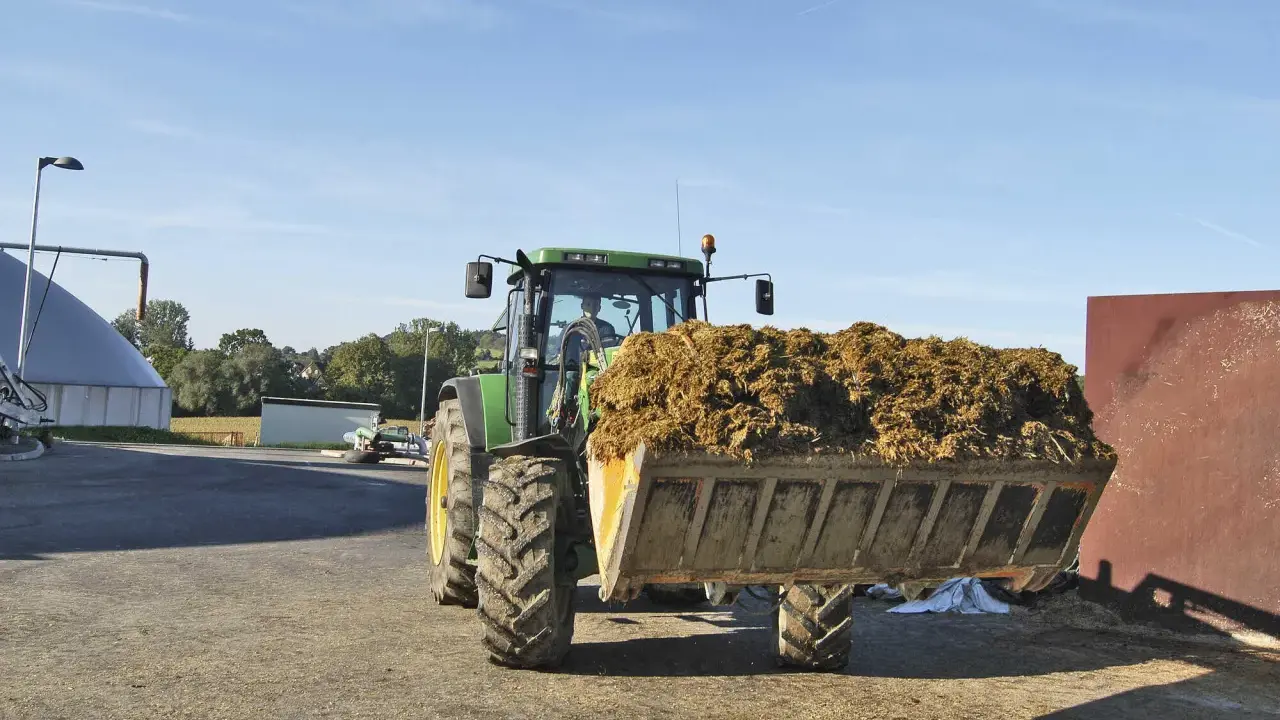 Traktor mit vollem Ladebehälter, bereit für die Biogasanlage. Mais und Gülle werden verarbeitet.