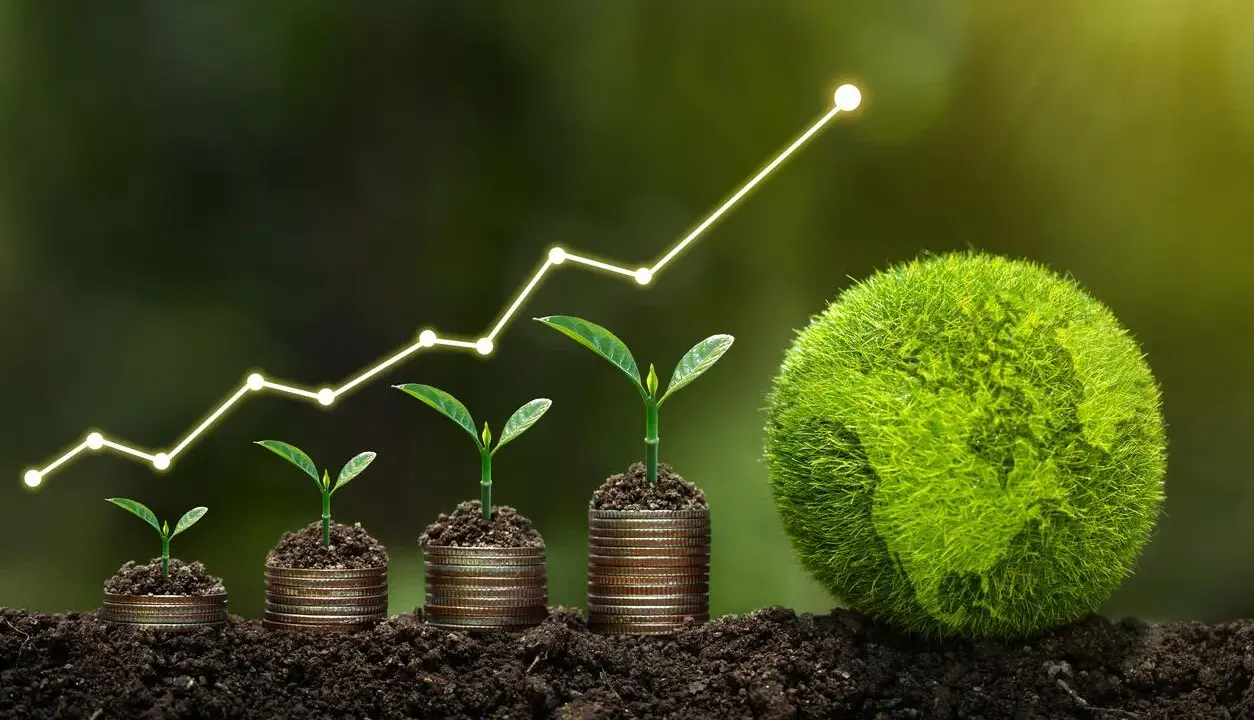 Wachsende Pflanzen auf Münzstapeln, die einen Aufwärtstrend symbolisieren, neben einer grünen Erde. Ein Beitrag zum Klimaschutz, der Wachstum und Hoffnung zeigt.