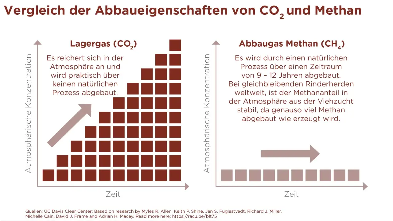 Vergleich von CO₂ und Methan: CO₂ reichert sich an, Methan (aus Rinderhaltung) baut sich ab.