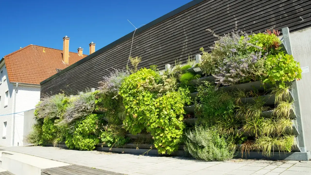 Grüne kletterpflanzen fassade mit verschiedenen Gräsern und blühenden Stauden, die an einer modernen Holzverkleidung wachsen.