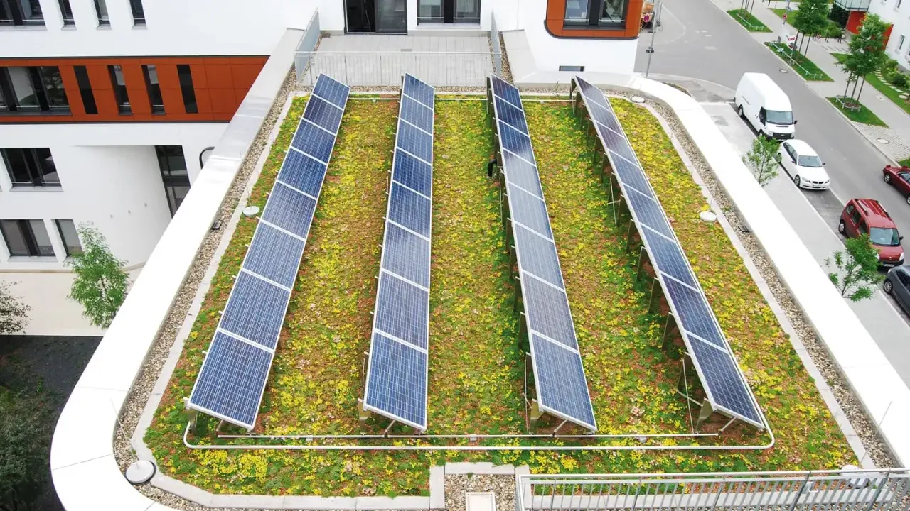 Reihen von Solarmodulen auf einem blühenden, **bewachsenen Dach** mit Blick auf eine Straße und Gebäude.