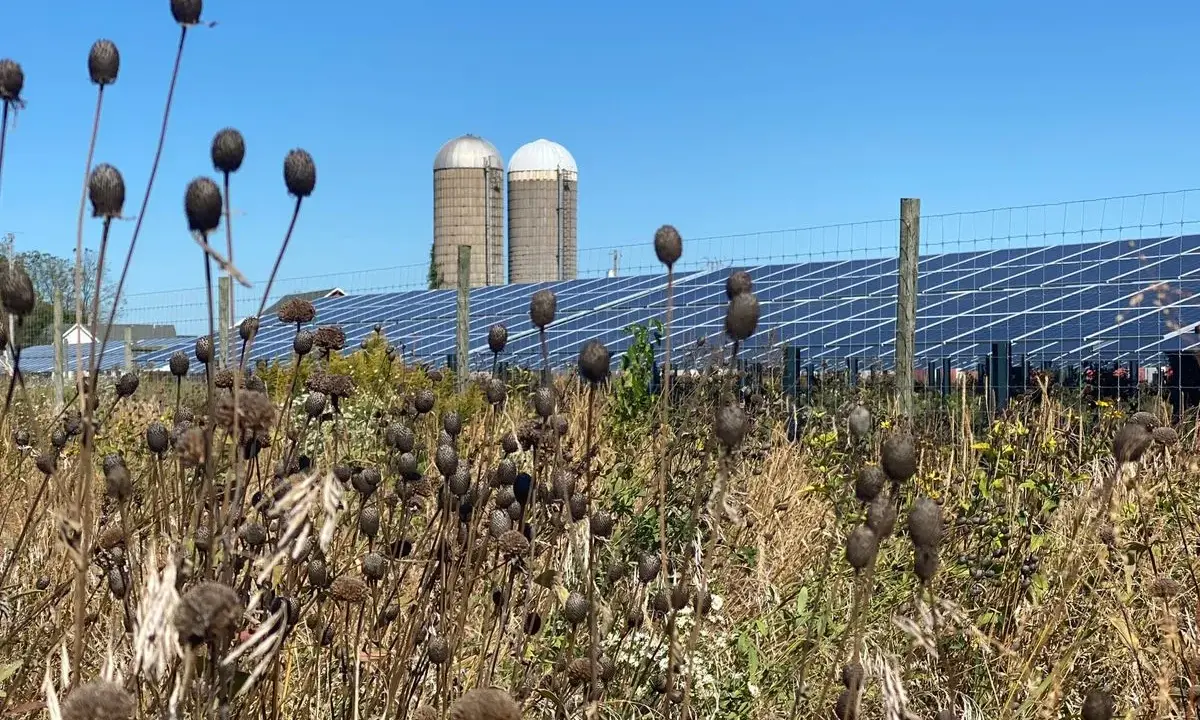 Sonnenkollektoren hinter einem Zaun mit trockenen Pflanzen im Vordergrund und zwei Silos.