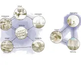 Diagramm zeigt Verbindungen zwischen Wohnort, Kindergarten, Schule, Arbeitsplatz, Einkauf und Verwandten. Dies illustriert Aspekte der gendergerechten Stadtplanung.