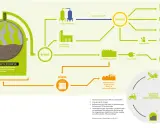 Schema zeigt, wie aus Biogas durch verschiedene Prozesse grüner Strom und Wärme für Kraftwerke, Industrie und Haushalte erzeugt wird.