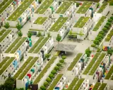 Grüne Dächer auf Reihenhäusern in einer kompakten Stadt. Viele bunte Fassaden und Bäume.
