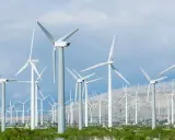 Windkraft-Anlage in den USA. Hunderte von Windrädern erstrecken sich über Hügel und Ebenen, ein Symbol für erneuerbare Energie.