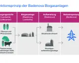 Schema zeigt, wie eine Biogasanlage Strom erzeugt: Aus Pflanzenresten und Gülle entsteht Biogas, das in einem Blockheizkraftwerk aufbereitet und ins Stromnetz eingespeist wird.
