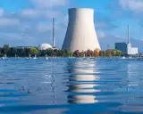 Schwanenfamilie auf einem See vor einem Atomkraftwerk. Frankreich baut neue Atomkraftwerke, doch die Natur zeigt sich unbeeindruckt.