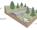 Schema zur Gestaltung einer Sickermulde mit Sedimentationsbecken und abflussbremsenden Strukturen.