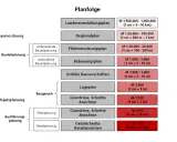 Übersicht über Planungsstufen: Raumordnung, Bauleitplanung (Flächennutzungsplan, Bebauungsplan), Objektplanung und Ausführungsplanung mit Maßstäben.