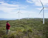 Mann steht vor Windrädern, die die australien energieversorgung repräsentieren. Die Landschaft ist grün und hügelig, mit dem Meer im Hintergrund.
