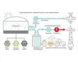 Schema einer Biogasanlage: Gülle, Energiepflanzen und Bioabfall werden im Fermenter zu Biogas verarbeitet. Dieses wird aufbereitet, liefert Strom und Wärme, und wird ins Erdgasnetz eingespeist. Erneuerbare Energie aus der Landwirtschaft.