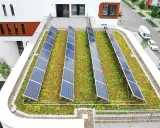 Reihen von Solarmodulen auf einem blühenden, **bewachsenen Dach** mit Blick auf eine Straße und Gebäude.