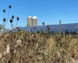 Sonnenkollektoren hinter einem Zaun mit trockenen Pflanzen im Vordergrund und zwei Silos.