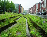 Grüne Oase mit blauer Infrastruktur: Ein Stadtgarten mit Wegen aus Kopfsteinpflaster und metallischen Beeteinfassungen, umgeben von üppiger Vegetation und Blumen.