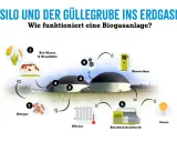 Schema erklärt, wie Biomasse und Gülle in einer Biogasanlage zu Biogas, Wärme und Strom verarbeitet werden.
