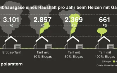 Treibhausgase beim Heizen: 3.101 kg bei Erdgas, 661 kg bei 100% Biogas. Biogas ist umweltfreundlich und reduziert Emissionen erheblich.