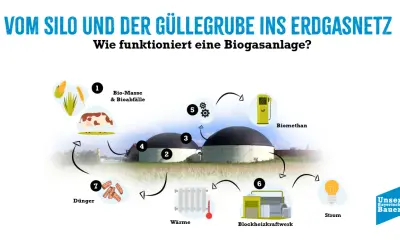 Schema erklärt, wie Biomasse und Gülle in einer Biogasanlage zu Biogas, Wärme und Strom verarbeitet werden.