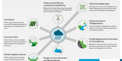 Naturbasierte Maßnahmen gegen Starkregen: Gründächer, Grünkorridore, Feuchtbiotope – alles, was hilft, nicht in my backyard.