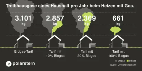 Treibhausgase beim Heizen: 3.101 kg bei Erdgas, 661 kg bei 100% Biogas. Biogas ist umweltfreundlich und reduziert Emissionen erheblich.