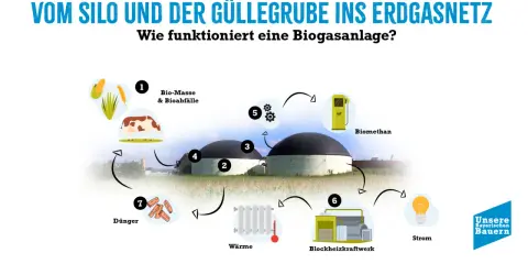 Schema erklärt, wie Biomasse und Gülle in einer Biogasanlage zu Biogas, Wärme und Strom verarbeitet werden.