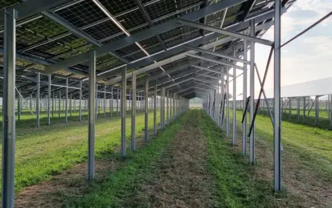 Reihe von Metallpfosten trägt eine agri-pv unterkonstruktion für Solarmodule. Die Struktur ist auf einem Feld mit Gras und Unkraut aufgebaut.