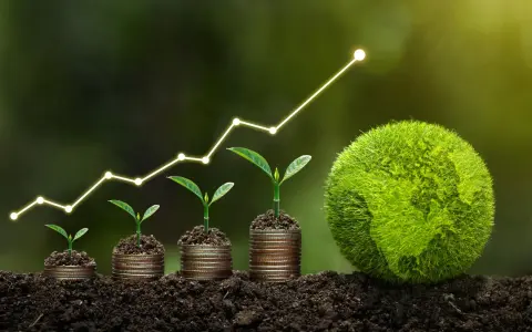 Wachsende Pflanzen auf Münzstapeln, die einen Aufwärtstrend symbolisieren, neben einer grünen Erde. Ein Beitrag zum Klimaschutz, der Wachstum und Hoffnung zeigt.