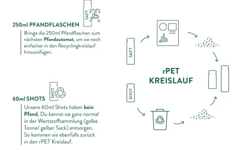 Das Bild erklärt das Pfandsystem in den Niederlanden für 250ml Flaschen, die zum Pfandautomaten gebracht werden, und den rPET-Kreislauf.
