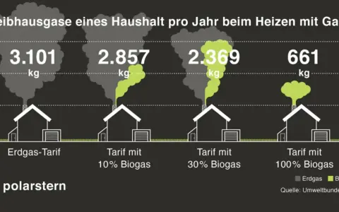 Treibhausgase beim Heizen: 3.101 kg bei Erdgas, 661 kg bei 100% Biogas. Biogas ist umweltfreundlich und reduziert Emissionen erheblich.