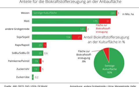 Balkendiagramm zeigt Anbauflächen für Biokraftstoffe. Ein Kreisdiagramm illustriert den Anteil der Biokraftstofferzeugung an der Kulturfläche, der 8% beträgt. Der Rest ist sonstige Kulturfläche (92%). Ob diese Flächen als Tank oder Teller dienen, ist n...