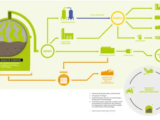 Schema zeigt, wie aus Biogas durch verschiedene Prozesse grüner Strom und Wärme für Kraftwerke, Industrie und Haushalte erzeugt wird.