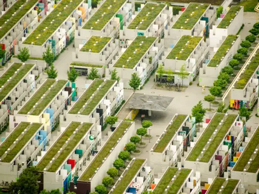Grüne Dächer auf Reihenhäusern in einer kompakten Stadt. Viele bunte Fassaden und Bäume.