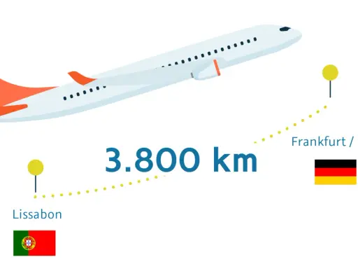 Flugzeug von Lissabon nach Frankfurt (3.800 km). Eine Tonne CO2 ist viel, wie dieser Flug zeigt.