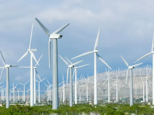 Windkraft-Anlage in den USA. Hunderte von Windrädern erstrecken sich über Hügel und Ebenen, ein Symbol für erneuerbare Energie.