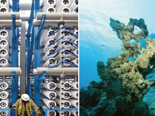 Industrielle Anlage mit Rohren und ein Korallenriff im tiefblauen Wasser. Blaue Energie für die Zukunft.