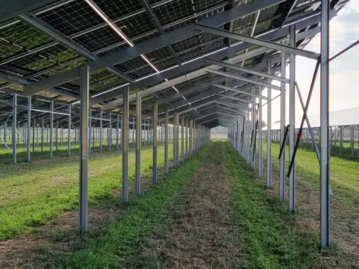 Reihe von Metallpfosten trägt eine agri-pv unterkonstruktion für Solarmodule. Die Struktur ist auf einem Feld mit Gras und Unkraut aufgebaut.