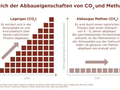 Vergleich von CO₂ und Methan: CO₂ reichert sich an, Methan (aus Rinderhaltung) baut sich ab.