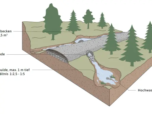 Schema zur Gestaltung einer Sickermulde mit Sedimentationsbecken und abflussbremsenden Strukturen.