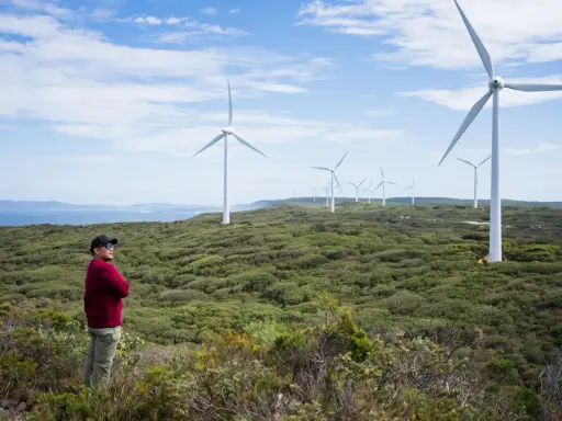 Mann steht vor Windrädern, die die australien energieversorgung repräsentieren. Die Landschaft ist grün und hügelig, mit dem Meer im Hintergrund.