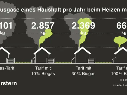 Treibhausgase beim Heizen: 3.101 kg bei Erdgas, 661 kg bei 100% Biogas. Biogas ist umweltfreundlich und reduziert Emissionen erheblich.