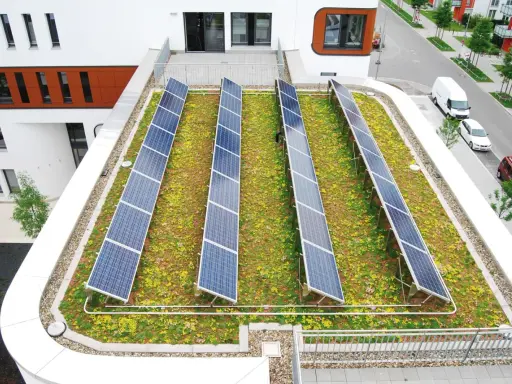 Reihen von Solarmodulen auf einem blühenden, **bewachsenen Dach** mit Blick auf eine Straße und Gebäude.