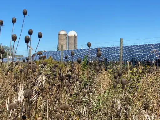 Sonnenkollektoren hinter einem Zaun mit trockenen Pflanzen im Vordergrund und zwei Silos.