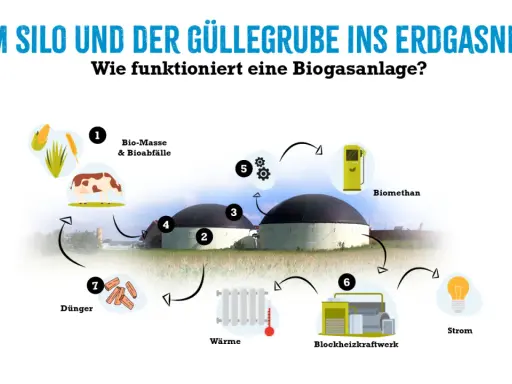 Schema erklärt, wie Biomasse und Gülle in einer Biogasanlage zu Biogas, Wärme und Strom verarbeitet werden.