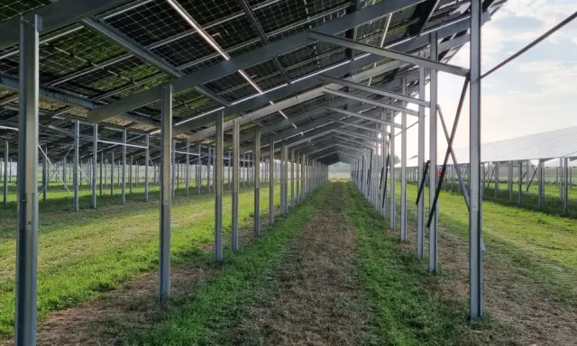 Reihe von Metallpfosten trägt eine agri-pv unterkonstruktion für Solarmodule. Die Struktur ist auf einem Feld mit Gras und Unkraut aufgebaut.