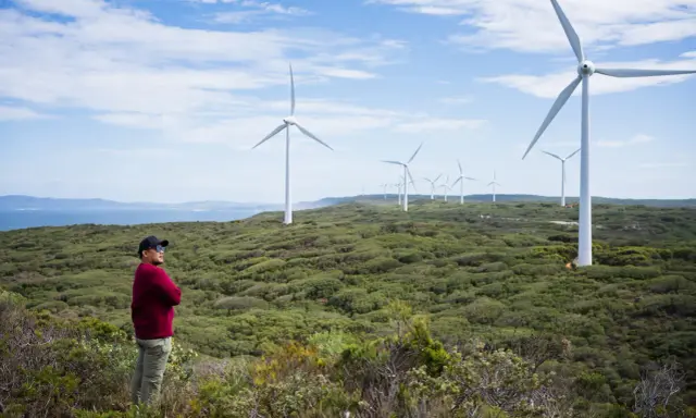 Mann steht vor Windrädern, die die australien energieversorgung repräsentieren. Die Landschaft ist grün und hügelig, mit dem Meer im Hintergrund.