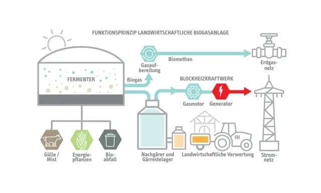 Schema einer Biogasanlage: Gülle, Energiepflanzen und Bioabfall werden im Fermenter zu Biogas verarbeitet. Dieses wird aufbereitet, liefert Strom und Wärme, und wird ins Erdgasnetz eingespeist. Erneuerbare Energie aus der Landwirtschaft.