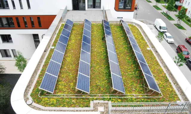 Reihen von Solarmodulen auf einem blühenden, **bewachsenen Dach** mit Blick auf eine Straße und Gebäude.